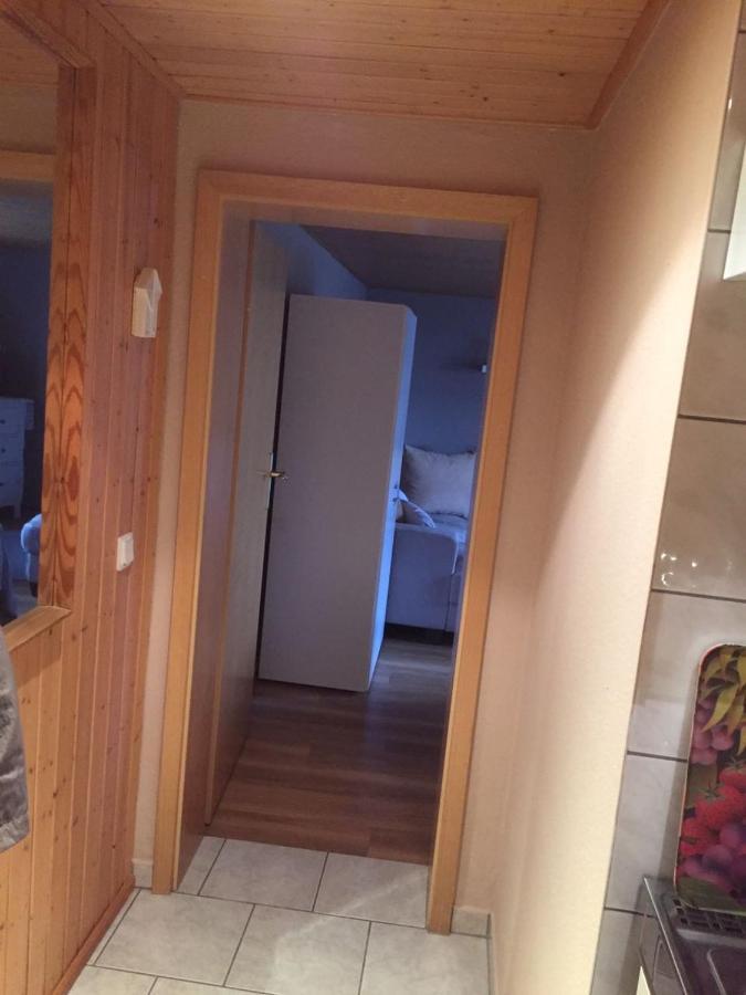 Appartement Elfrida à Thale Extérieur photo